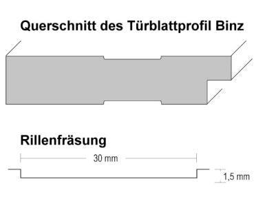 Füllungsdesigntür Binz 1G, Weißlack